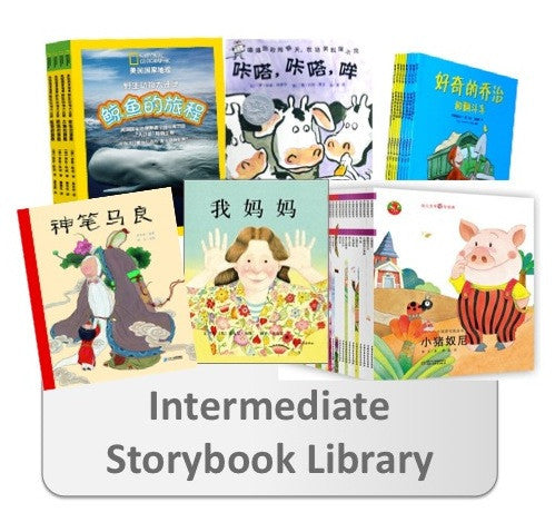 Storybook Library Starter Pack (Intermediate)