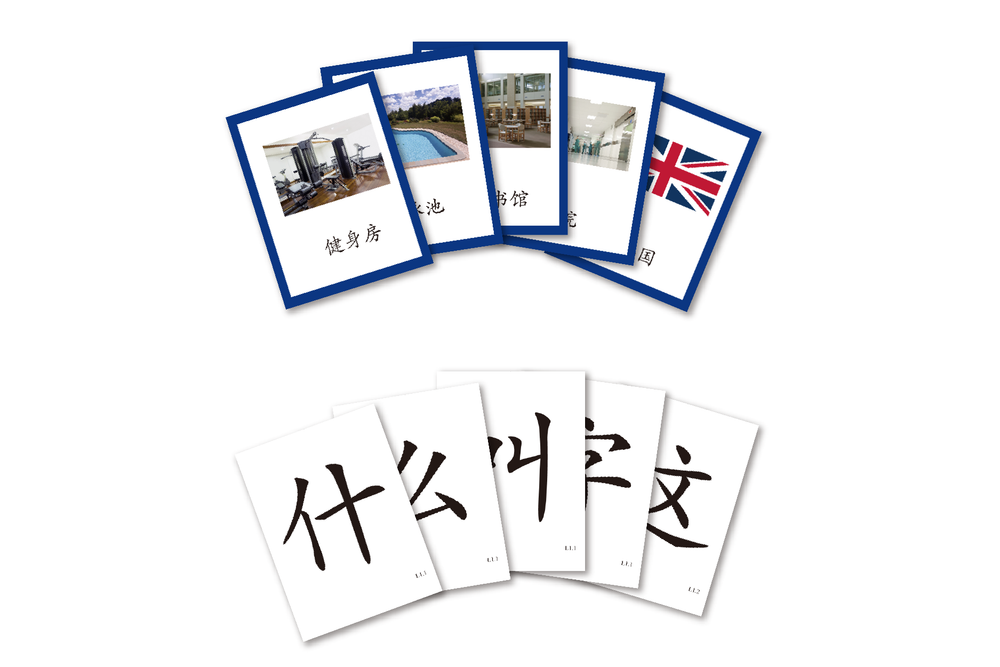 Better Immersion Flash Cards Set 中文游闪卡