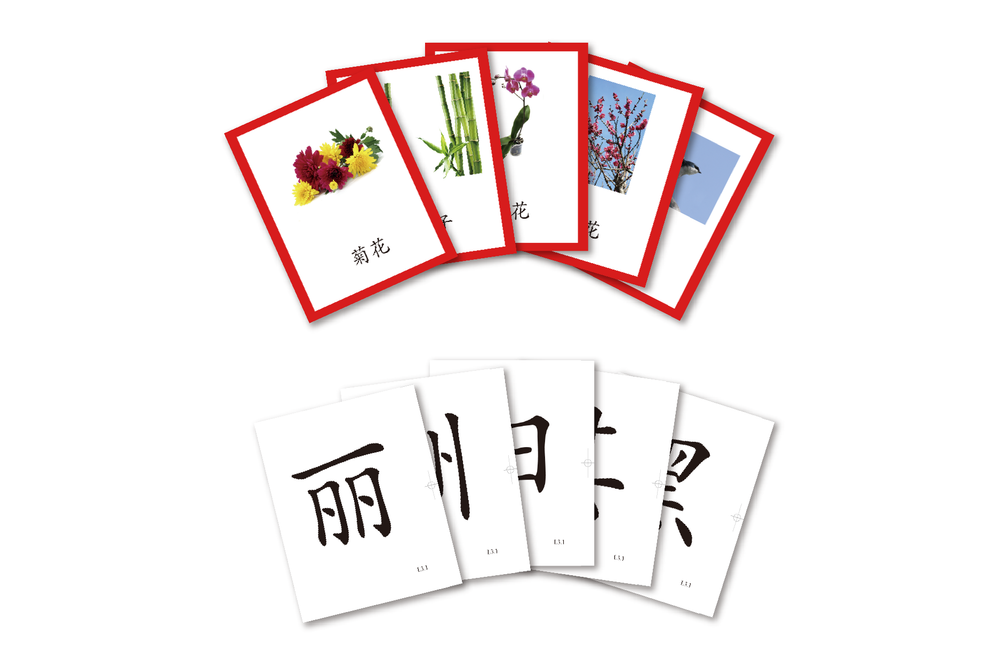 Better Immersion Flash Cards Set 中文游闪卡